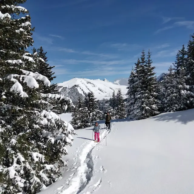 Balades ludiques en raquettes_Flaine