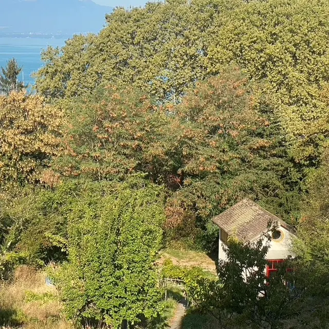 Dans un coin de verdure