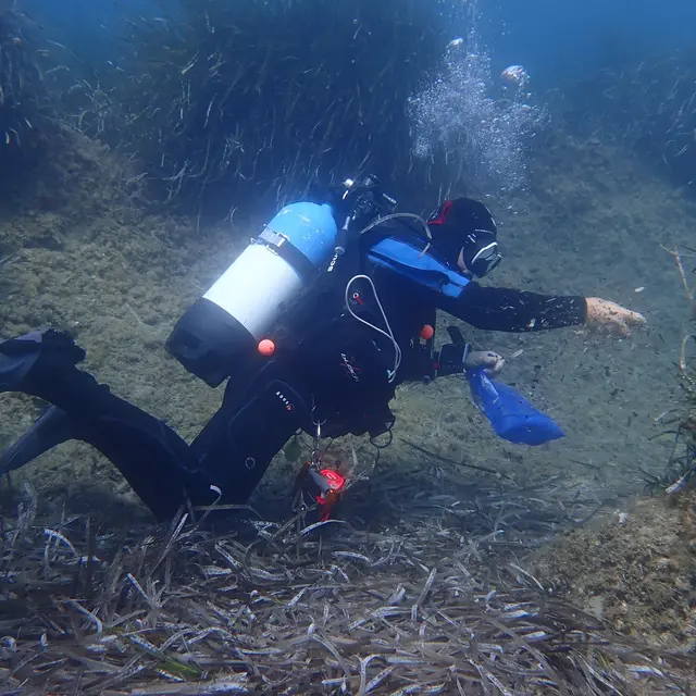 Nettoyage des fonds marins_Les Issambres (Roquebrune sur Argens)