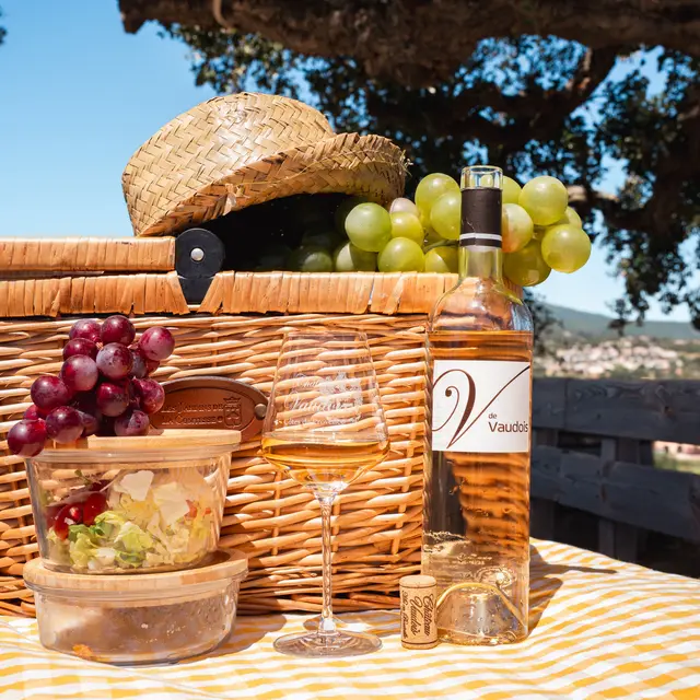 Pique nique dans les vignes au Château Vaudois_Roquebrune-sur-Argens