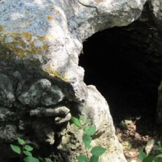 Dolmen-de-la-Pitchoune