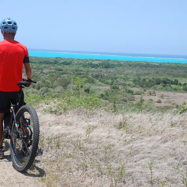 Piste VTT n°5