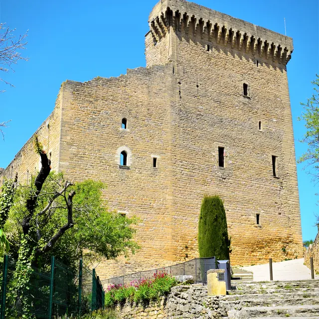 Château des Papes