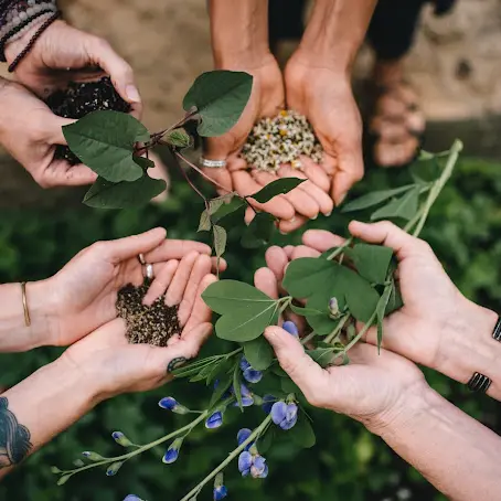 Atelier d'herboristerie_Villeneuve-lez-Avignon