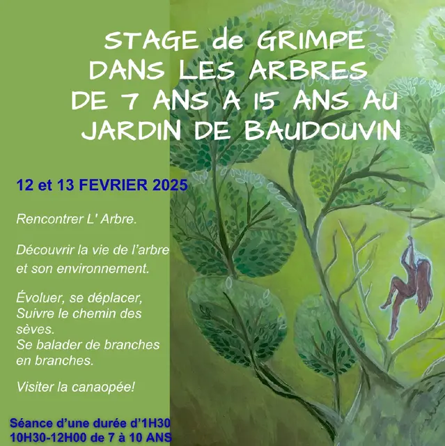 Jeune public - Stage de grimpe d'arbres au Jardin de Baudouvin_La Valette-du-Var