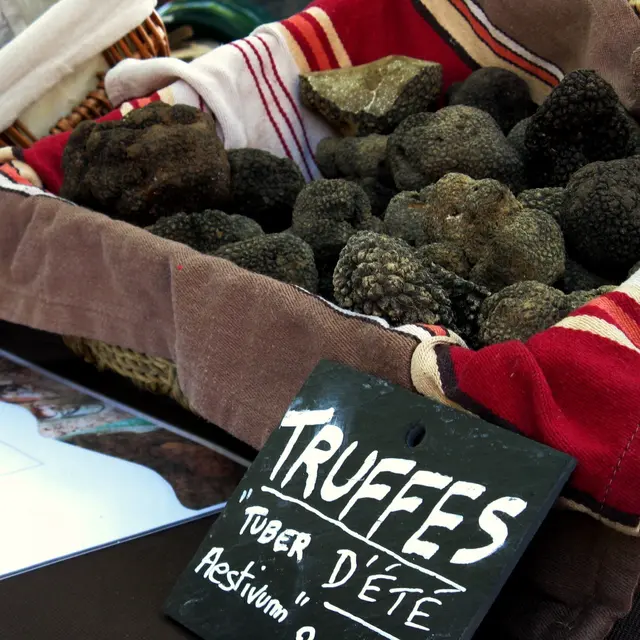 Marché à la truffe d'été