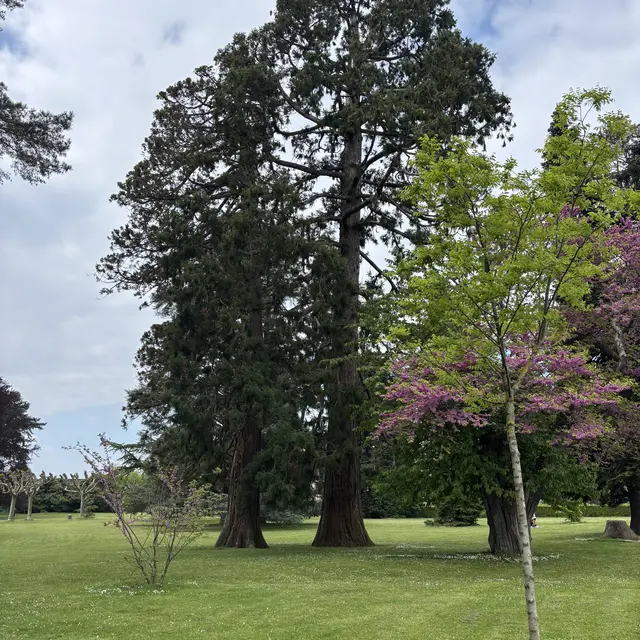 Au jardin des merveilles_Évian-les-Bains