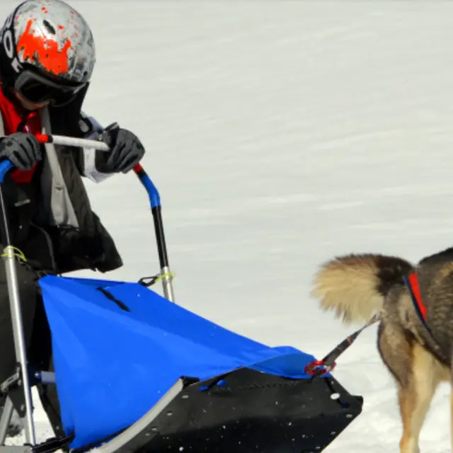 Baby musher