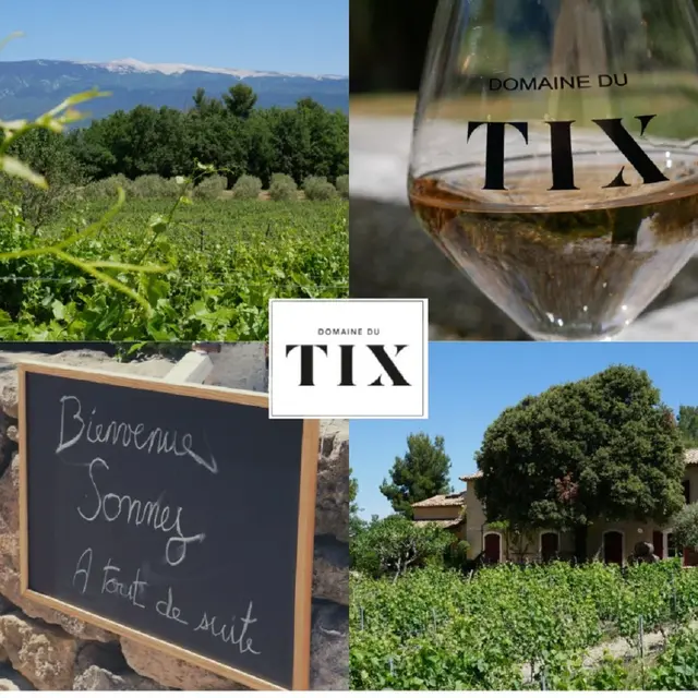 Dégustation au Domaine du Tix