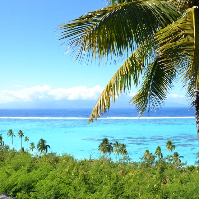 Point de vue To'atea -Tahiti Tourisme