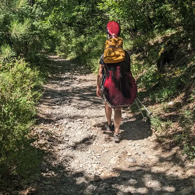 Retrouvance® Musique au cœur des forêts_Montmaur
