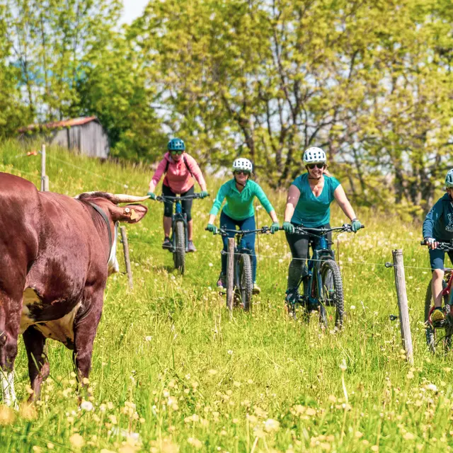 VTT AE été