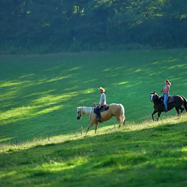 Randonnée équestre à Ferrières-sur-Sichon