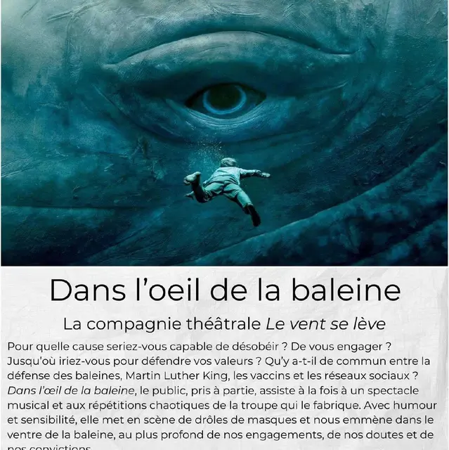 Dans l'œil de la baleine