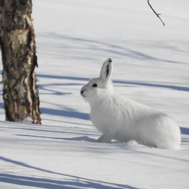Rencontre avec un garde-moniteur_Le Monêtier-les-Bains