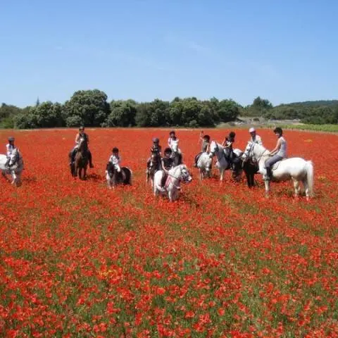 Balade Haras de Lagnes