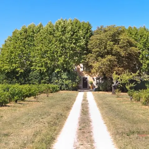 Lady L - Domaine le Clos du Pavillon - Brignoles