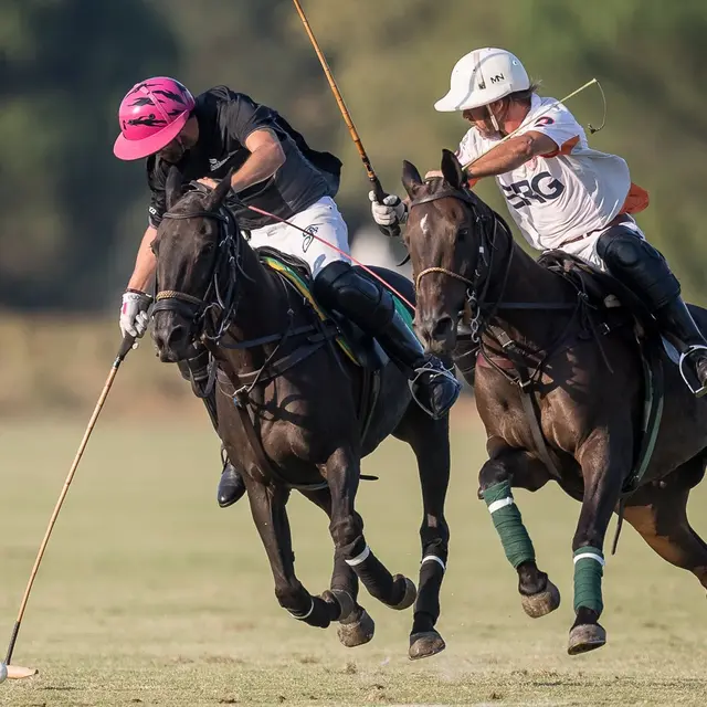 Haras de Gassin - tournoi weekend tournament_Gassin