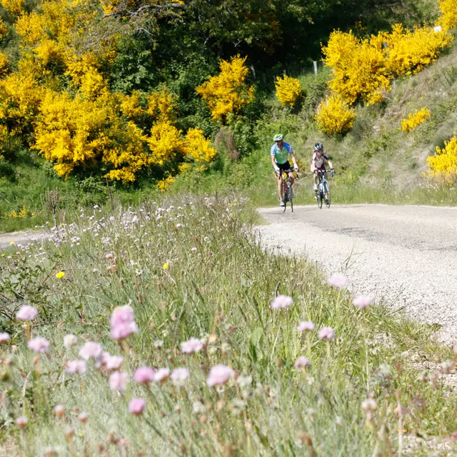 Sur les routes de l'Ardéchoise