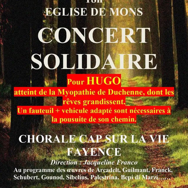 Concert Solidaire pour Hugo_Mons