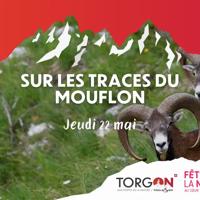 Fête de la Nature 2025_Torgon