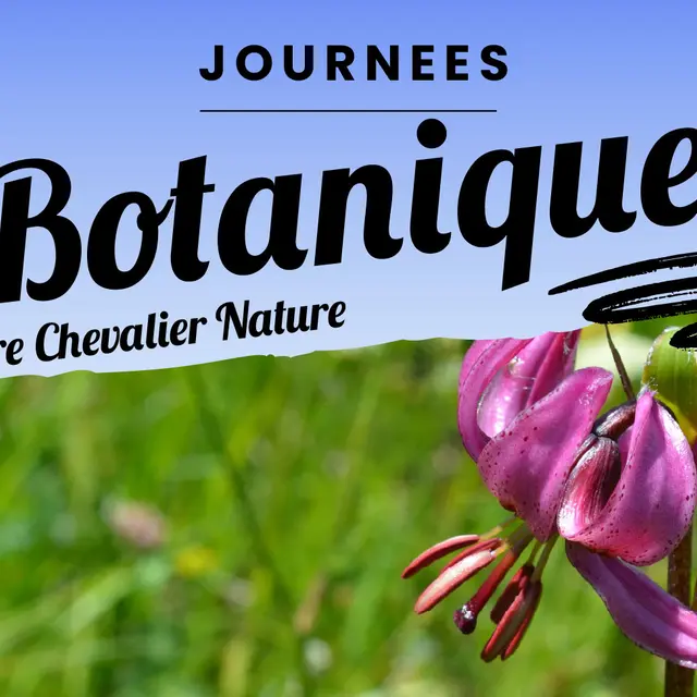 Balade botanique sur les pentes du Galibier_Villar-d'Arêne