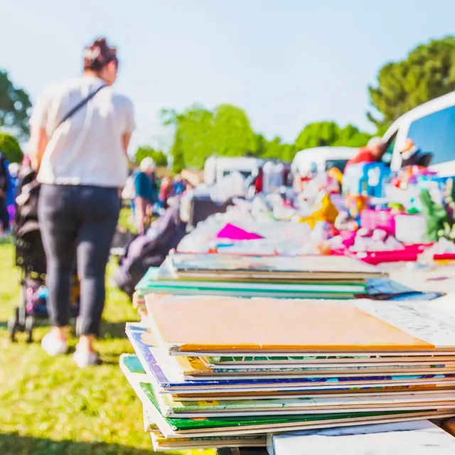 Brocante • Loisirs et Voyages avec les chiens verts_Cusset