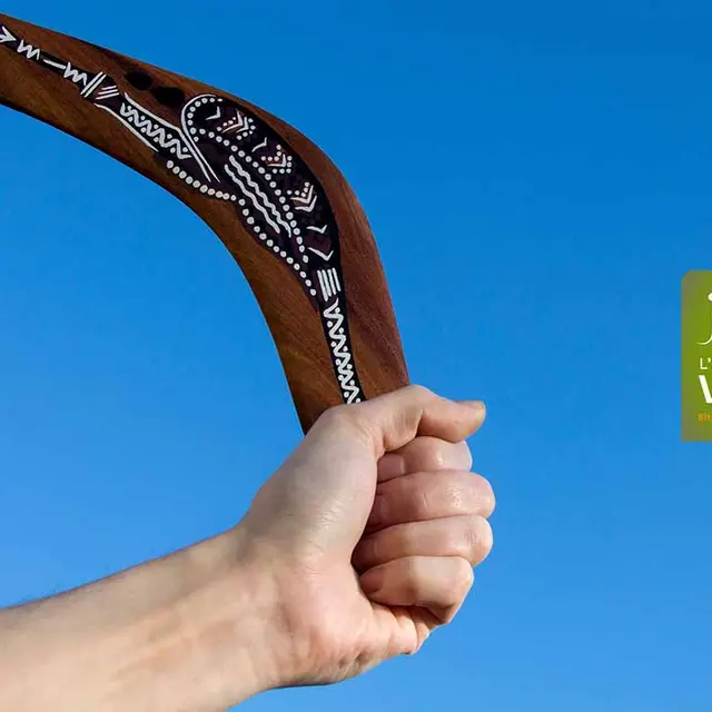 L'envol du boomerang