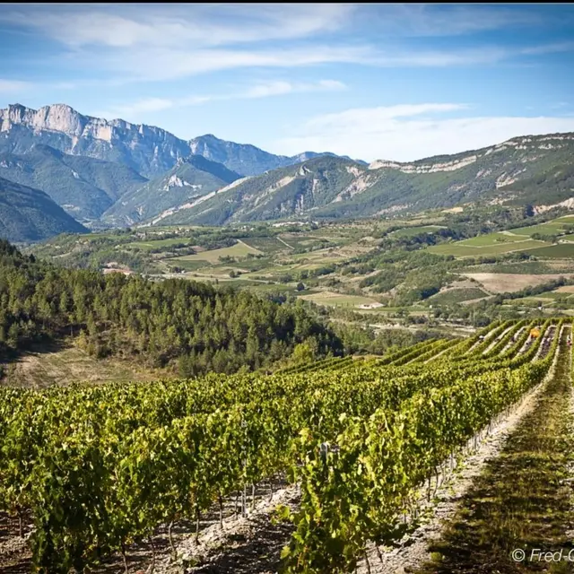 De Ferme en Ferme - GAEC des Adrets / Cave Maillefaud_Barsac