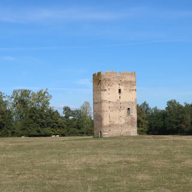 Donjon de St Forgeux Lespinasse