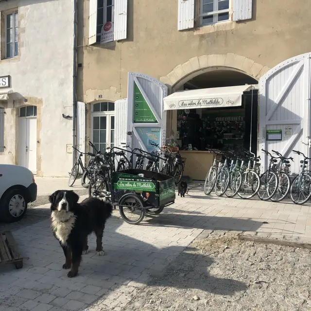 Les velos de mathilde outlet