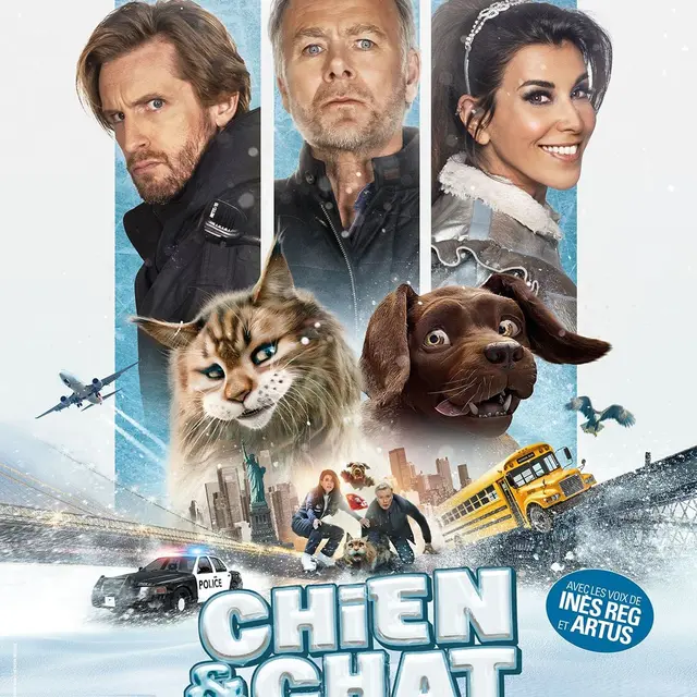 Cinéma en plein air : Chien et chat_La Crau