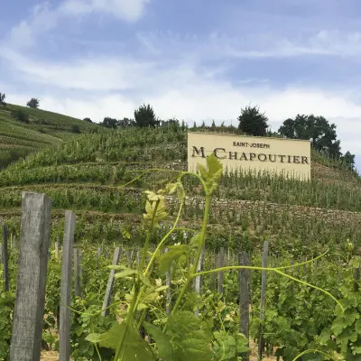 Atelier Découverte   100% Saint Joseph    - M.CHAPOUTIER_Tain-l'Hermitage