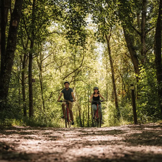 VTT - Boucle de la Férande