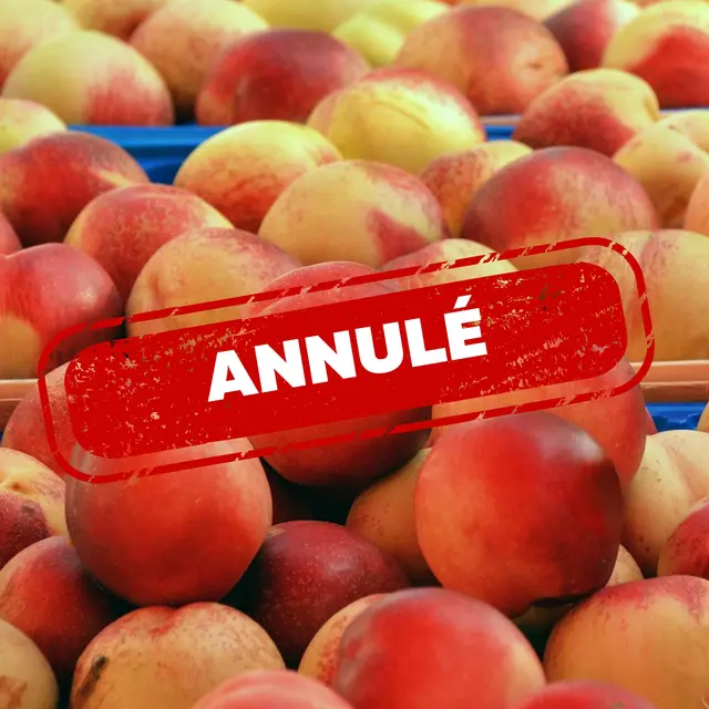 Marché nocturne des artisans et producteurs locaux_Laragne-Montéglin
