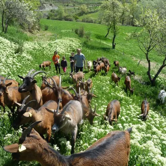 Ferme des Jassines à Moydans