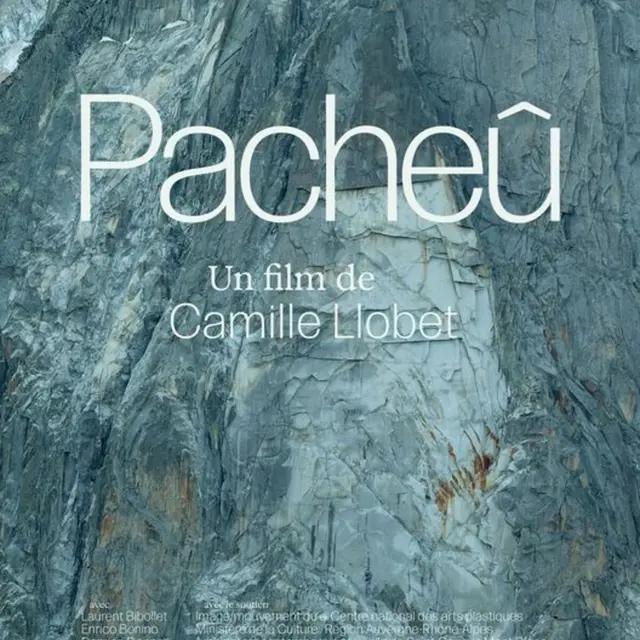 Affiche du film Pacheû