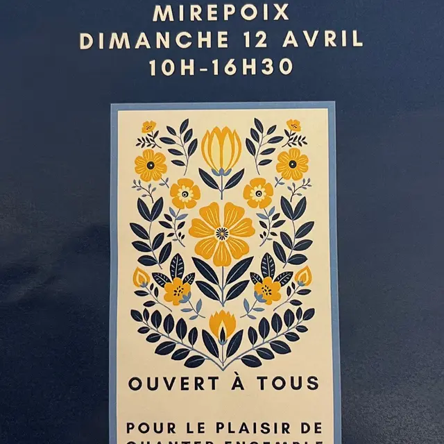 Stage de chant_Mirepoix