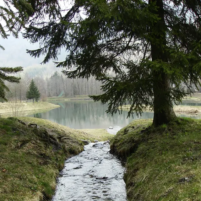 Plan d'eau Marcôt