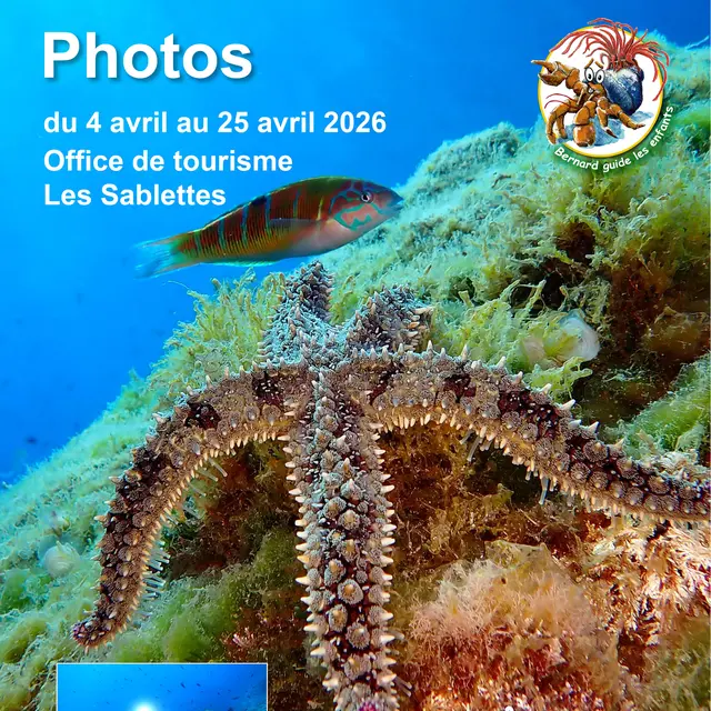 Exposition - La Seyne sous mer ! Richesse et beauté des petits fonds de La Seyne sur Mer_La Seyne-sur-Mer