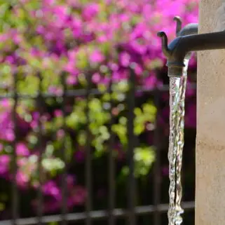 Visite guidée Au fil de l'eau_Bormes-les-Mimosas