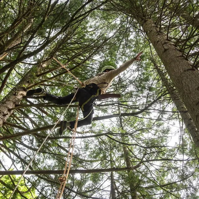 Exposition : Entre les branches_Chambéry