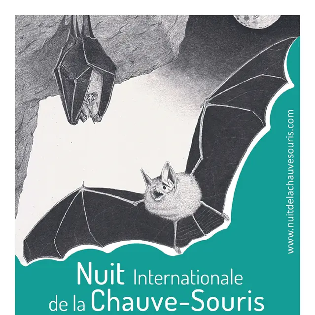 Nuit Internationale de la chauve souris_Les Adrets-de-l'Estérel