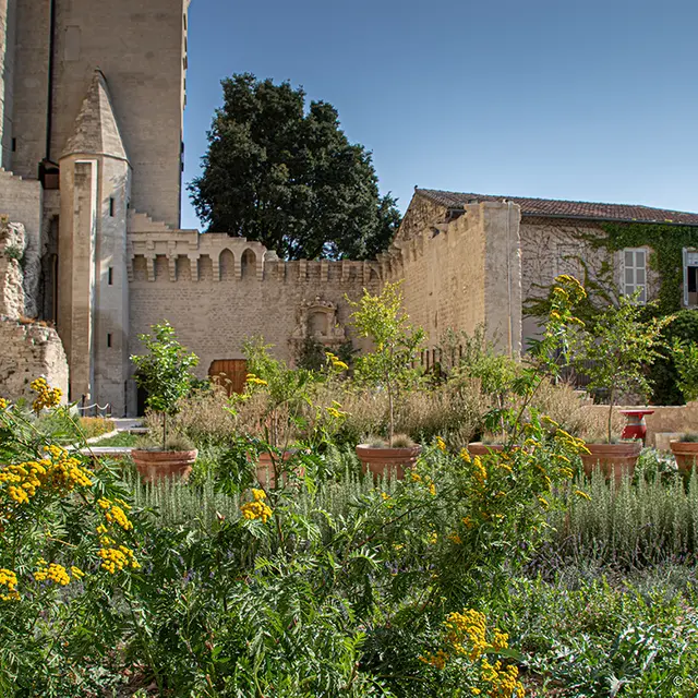 Jardins du Palais des Papes