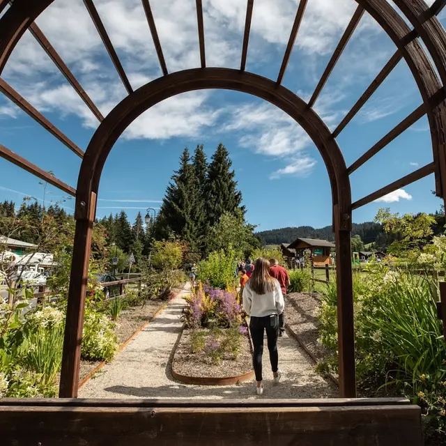 Jardin Botanique du Père Delavay