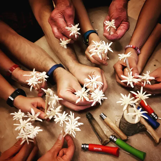 Atelier edelweiss