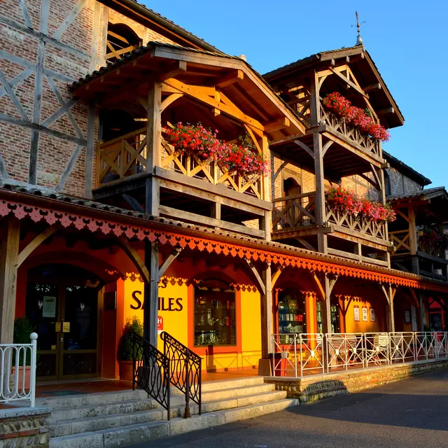 Hôtel Les Saules Parc & Spa_Vonnas