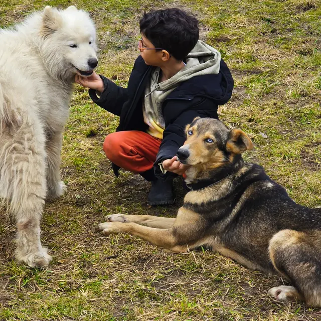 Visite pédagogique du chenil des chiens de traîneaux - A ton étoile_La Chapelle-d'Abondance