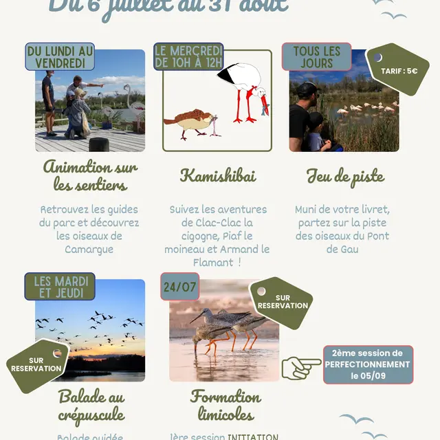 Parc Ornithologique – Programme des animations d'été_Saintes-Maries-de-la-Mer