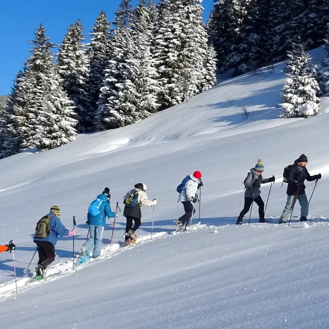 Bureau Montagne Artitude_Cohennoz